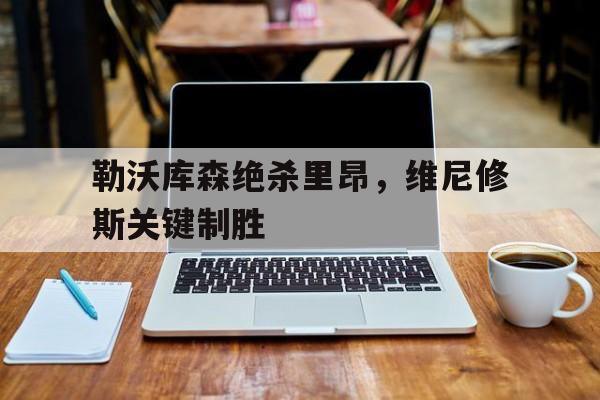 勒沃库森绝杀里昂，维尼修斯关键制胜的简单介绍