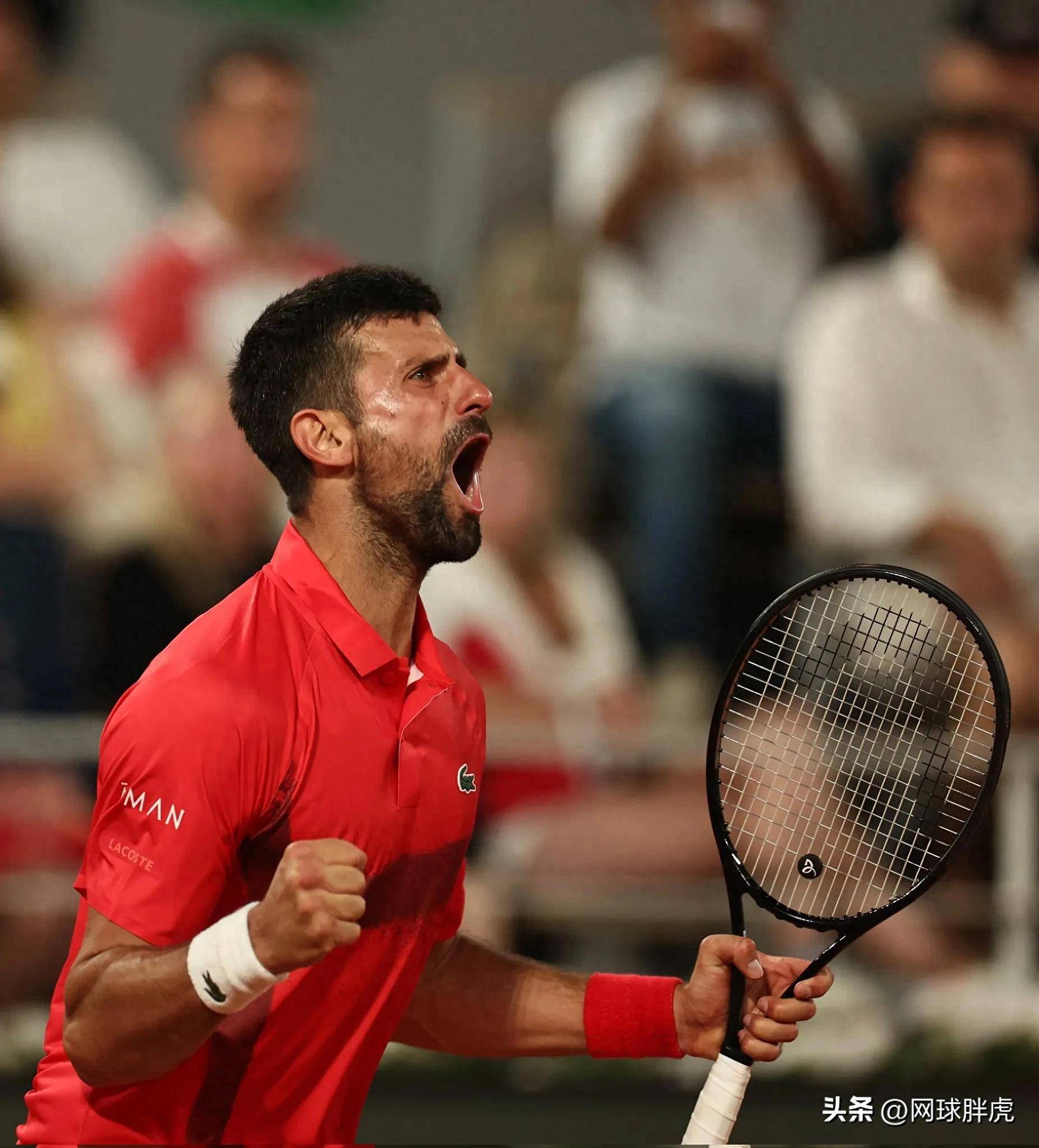 日本网球队绝地反击欧洲网球队，德约科维奇惊艳世界的简单介绍