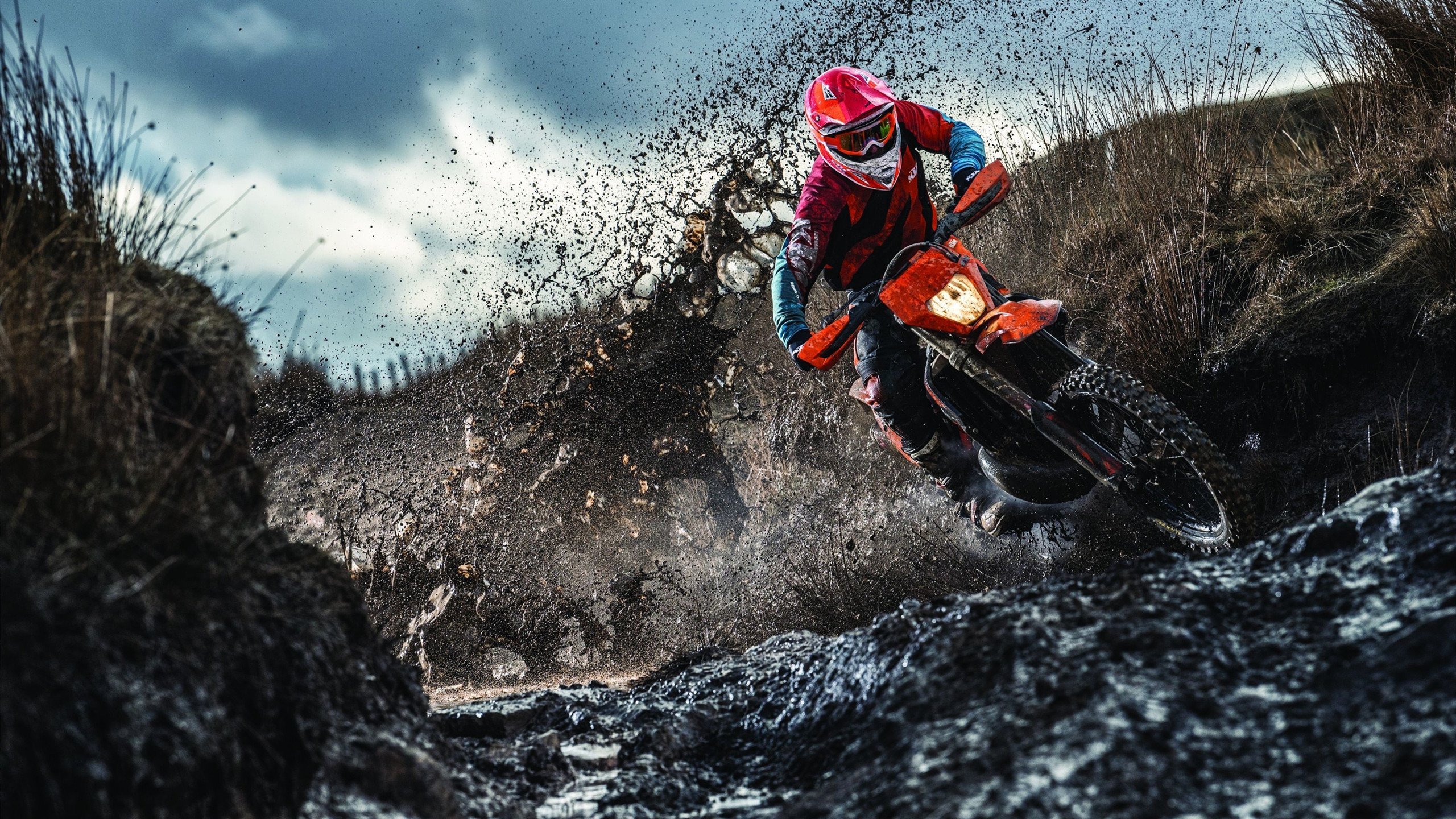 熊猫TV-从安第斯山到波斯湾，德里赫特如何以智利式坚韧冲垮伊朗，在2026世界杯接管比赛